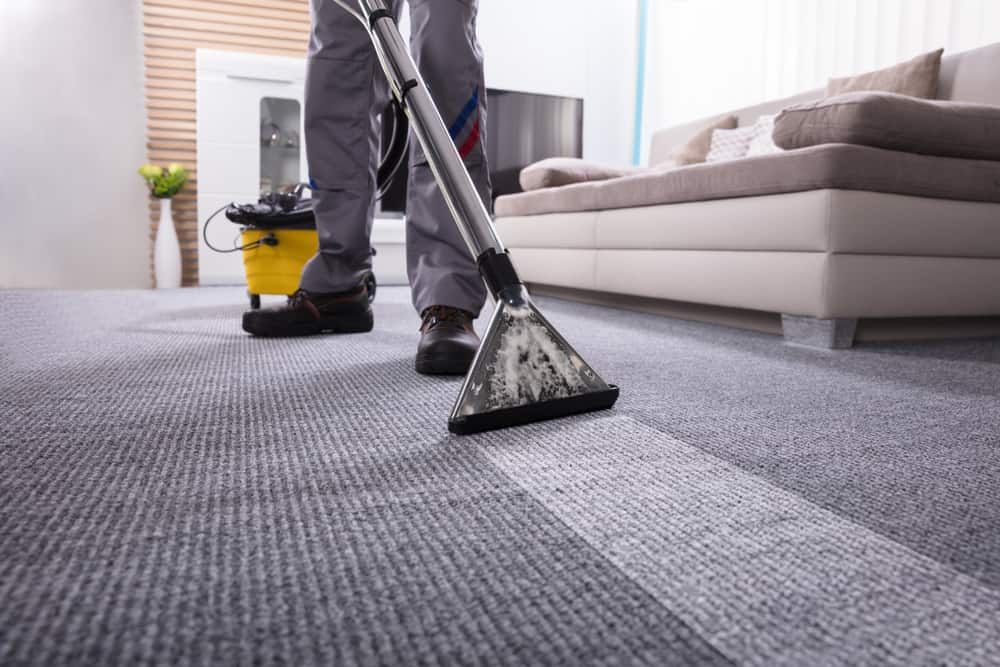 person cleaning carpet with steamer